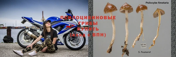 ГАЛЛЮЦИНОГЕННЫЕ ГРИБЫ Покров