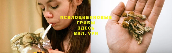не бодяженный Покачи
