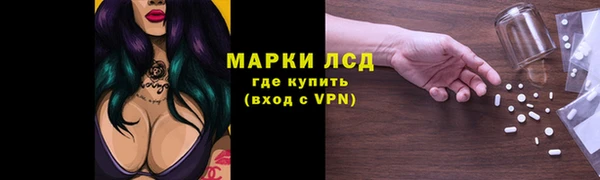 ГАЛЛЮЦИНОГЕННЫЕ ГРИБЫ Покров