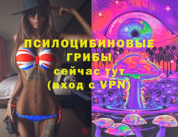 шишки Покровск