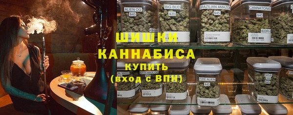 ГАЛЛЮЦИНОГЕННЫЕ ГРИБЫ Покров