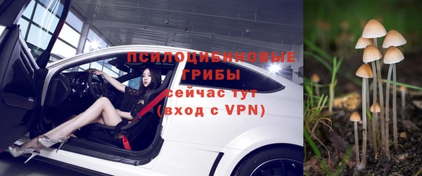 ГАЛЛЮЦИНОГЕННЫЕ ГРИБЫ Покров