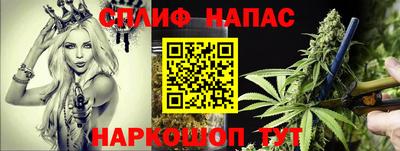 ГАЛЛЮЦИНОГЕННЫЕ ГРИБЫ Кимры