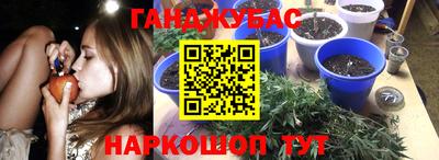 ГАЛЛЮЦИНОГЕННЫЕ ГРИБЫ Кимры