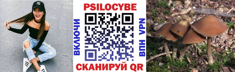 где продают   Уварово  кракен рабочий сайт  Галлюциногенные грибы GOLDEN TEACHER 