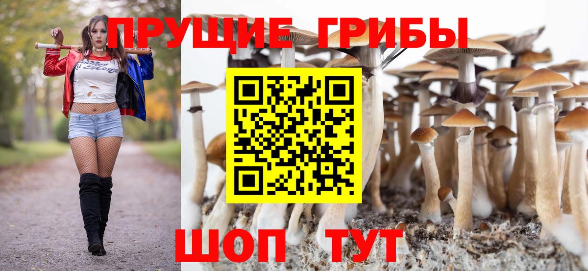 Галлюциногенные грибы GOLDEN TEACHER Уварово
