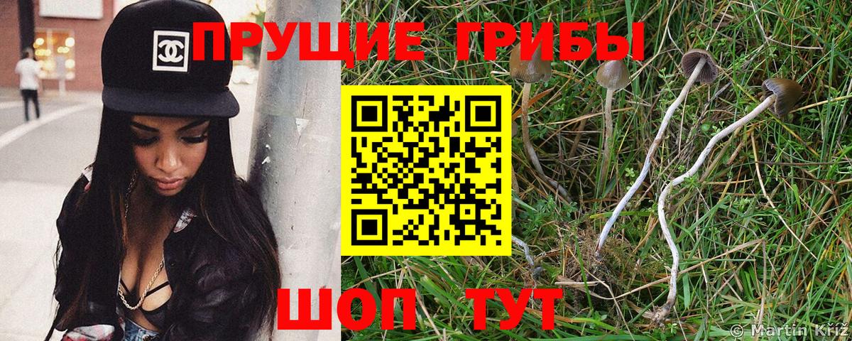 Галлюциногенные грибы ЛСД  где найти   Вход с VPN  Уварово  Галлюциногенные грибы Psilocybe 